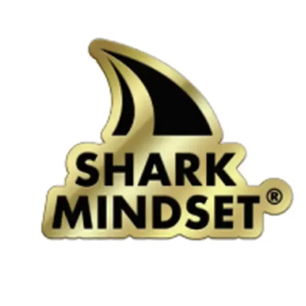 Lapel pin